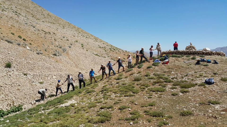 Bu kadar ‘ferit’ neyin nesi?